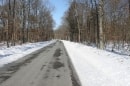 forêt de Montpensier D435